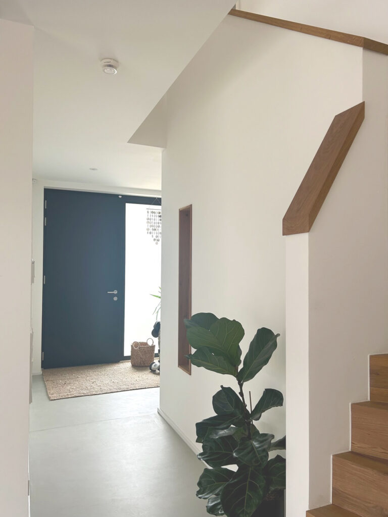 Heller, moderner Eingangsbereich mit einer großen dunklen Tür, natürlichem Licht, einer Fußmatte, Körben, einer hohen Grünpflanze und einem Treppengeländer aus Holz. Saubere weiße Wände und minimales Dekor schaffen eine einladende Atmosphäre.